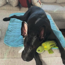 Pet Cooling Mat