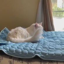 Pet Cooling Mat